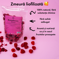 Zmeură liofilizată 🥰