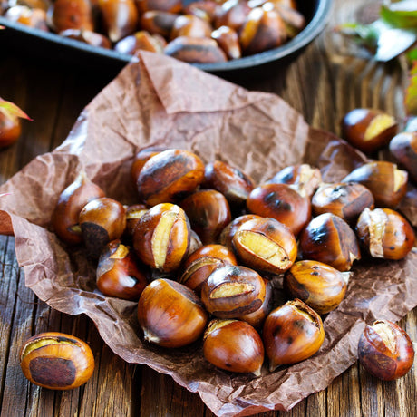 Castane