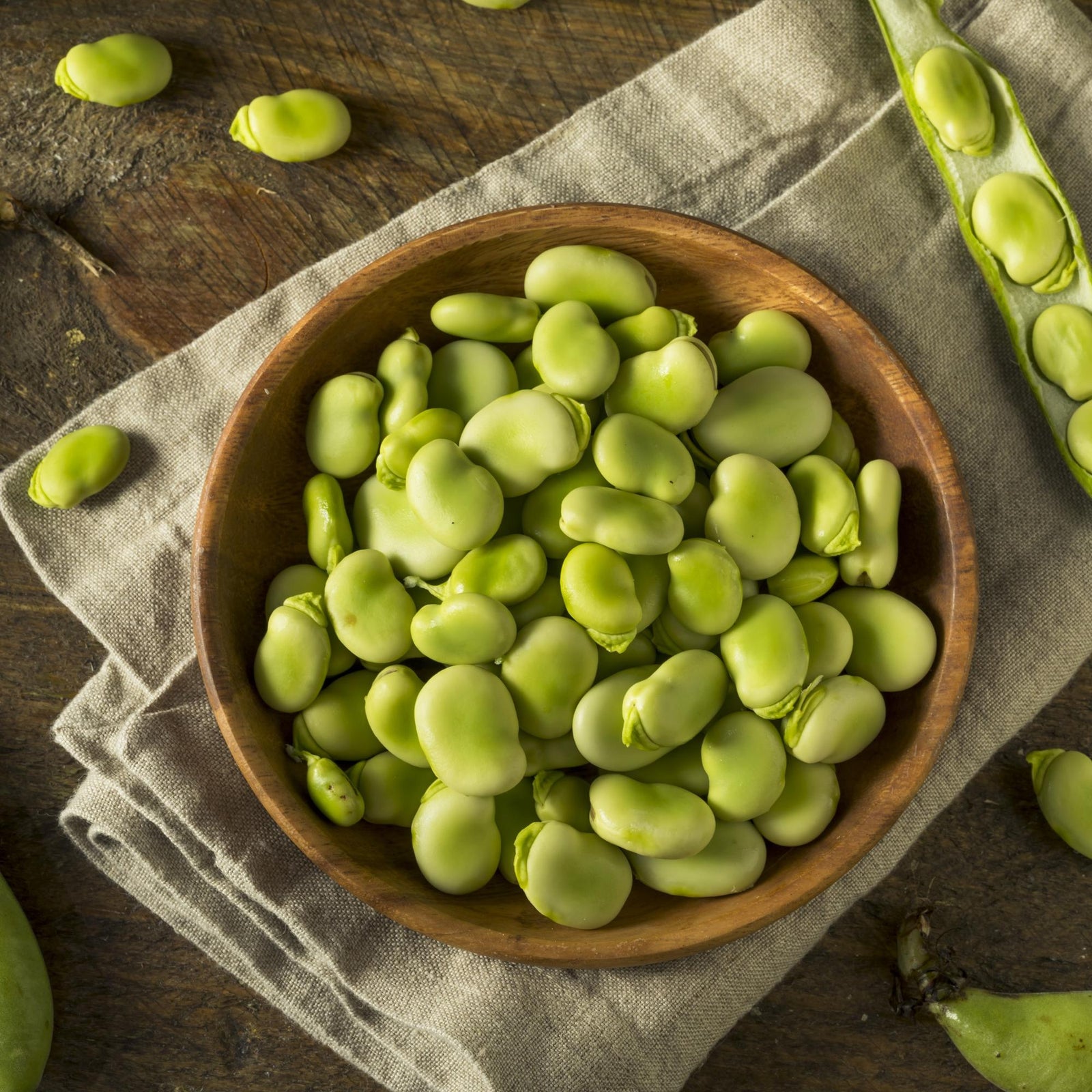 Fasole Fava