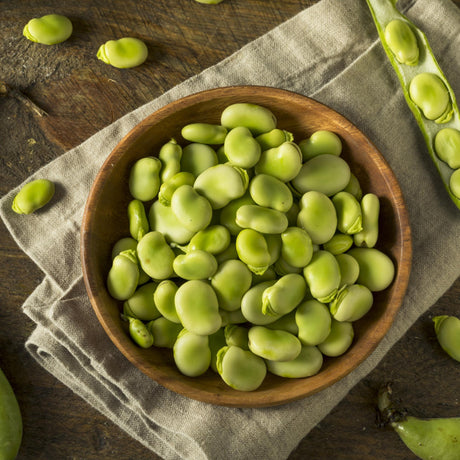 Fasole Fava
