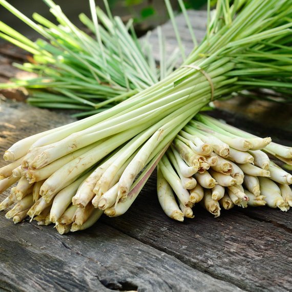 Lemongrass