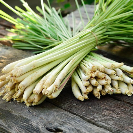 Lemongrass