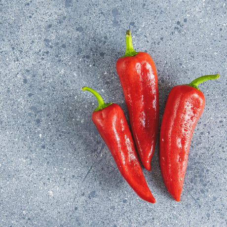 Paprika de legume