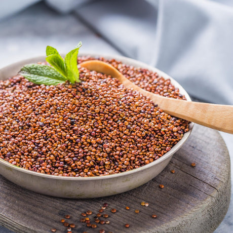 Quinoa roșie