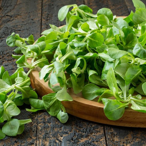 Salată valeriană