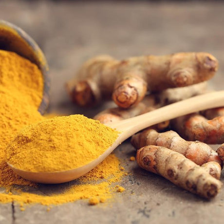 Turmeric (Curcumin)