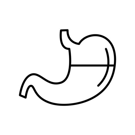 Digestie