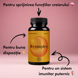 B-complex