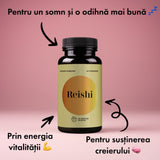 Reishi